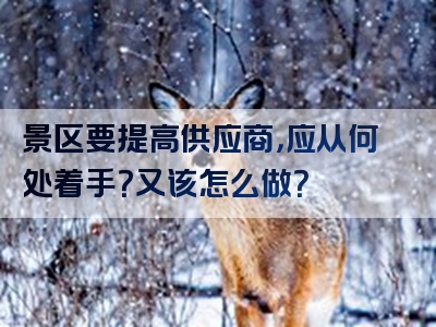 景区要提高供应商，应从何处着手？又该怎么做？