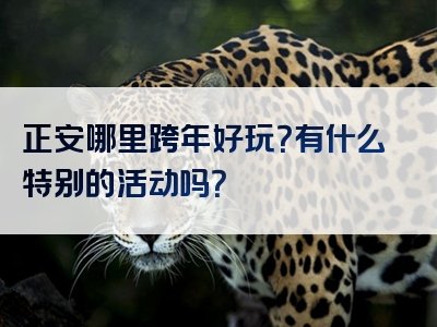 正安哪里跨年好玩？有什么特别的活动吗？