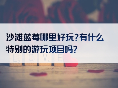 沙滩蓝莓哪里好玩？有什么特别的游玩项目吗？