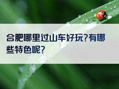 合肥哪里过山车好玩？有哪些特色呢？