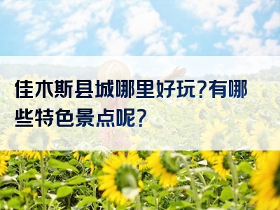 佳木斯县城哪里好玩？有哪些特色景点呢？
