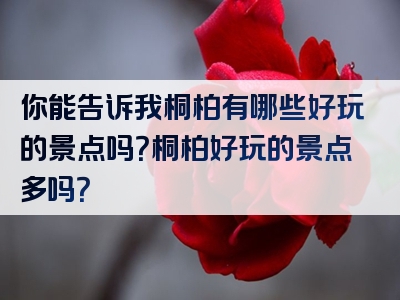 你能告诉我桐柏有哪些好玩的景点吗？桐柏好玩的景点多吗？