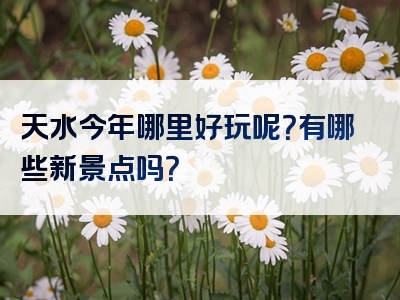 天水今年哪里好玩呢？有哪些新景点吗？