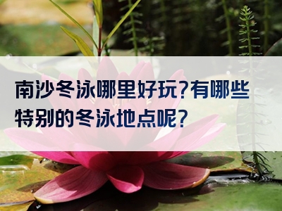 南沙冬泳哪里好玩？有哪些特别的冬泳地点呢？