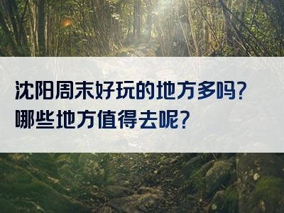 沈阳周末好玩的地方多吗？哪些地方值得去呢？