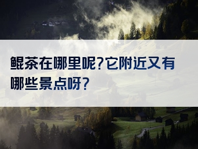 鲲茶在哪里呢？它附近又有哪些景点呀？