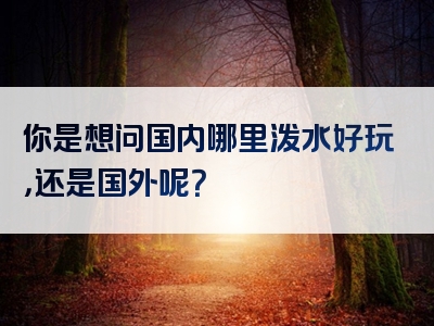 你是想问国内哪里泼水好玩，还是国外呢？