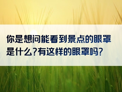 你是想问能看到景点的眼罩是什么？有这样的眼罩吗？