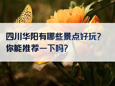 四川华阳有哪些景点好玩？你能推荐一下吗？