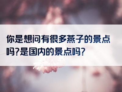 你是想问有很多燕子的景点吗？是国内的景点吗？