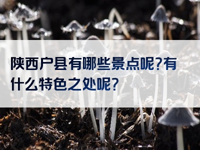陕西户县有哪些景点呢？有什么特色之处呢？