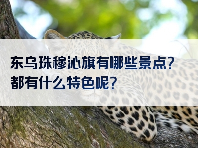 东乌珠穆沁旗有哪些景点？都有什么特色呢？