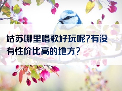 姑苏哪里唱歌好玩呢？有没有性价比高的地方？