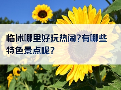 临沭哪里好玩热闹？有哪些特色景点呢？