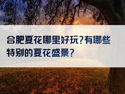 合肥夏花哪里好玩？有哪些特别的夏花盛景？