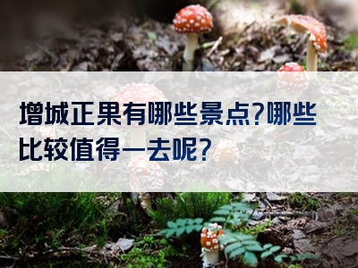 增城正果有哪些景点？哪些比较值得一去呢？