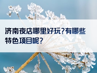 济南夜店哪里好玩？有哪些特色项目呢？
