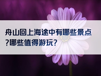 舟山回上海途中有哪些景点？哪些值得游玩？