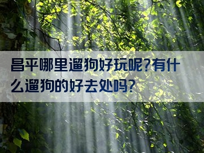 昌平哪里遛狗好玩呢？有什么遛狗的好去处吗？