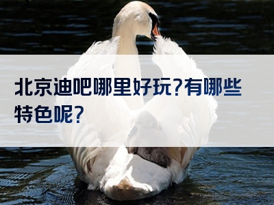 北京迪吧哪里好玩？有哪些特色呢？