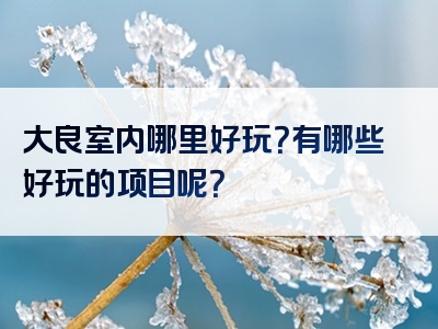 大良室内哪里好玩？有哪些好玩的项目呢？