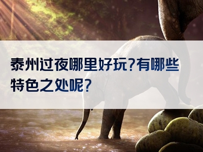 泰州过夜哪里好玩？有哪些特色之处呢？