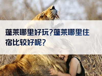 蓬莱哪里好玩？蓬莱哪里住宿比较好呢？