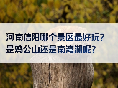 河南信阳哪个景区最好玩？是鸡公山还是南湾湖呢？