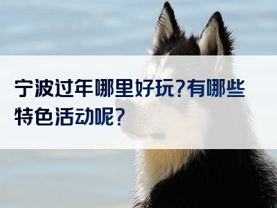 宁波过年哪里好玩？有哪些特色活动呢？