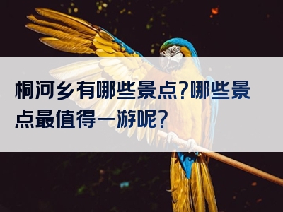 桐河乡有哪些景点？哪些景点最值得一游呢？