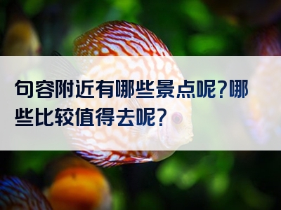 句容附近有哪些景点呢？哪些比较值得去呢？
