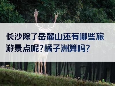 长沙除了岳麓山还有哪些旅游景点呢？橘子洲算吗？