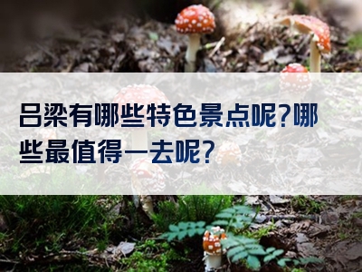 吕梁有哪些特色景点呢？哪些最值得一去呢？
