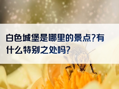 白色城堡是哪里的景点？有什么特别之处吗？