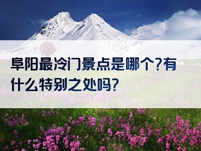 阜阳最冷门景点是哪个？有什么特别之处吗？
