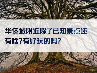华侨城附近除了已知景点还有啥？有好玩的吗？