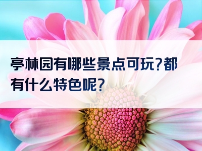 亭林园有哪些景点可玩？都有什么特色呢？