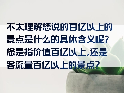 不太理解您说的百亿以上的景点是什么的具体含义呢？您是指价值百亿以上，还是客流量百亿以上的景点？