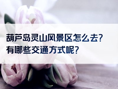 葫芦岛灵山风景区怎么去？有哪些交通方式呢？