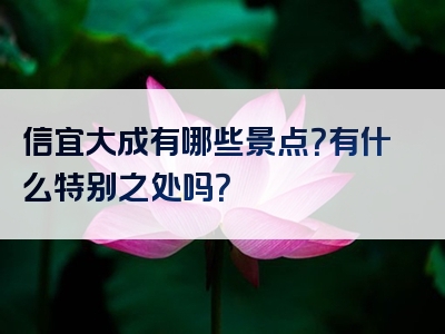 信宜大成有哪些景点？有什么特别之处吗？