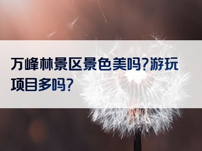 万峰林景区景色美吗？游玩项目多吗？