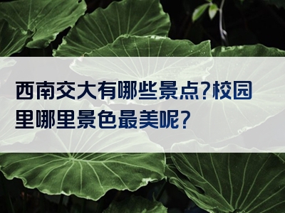 西南交大有哪些景点？校园里哪里景色最美呢？