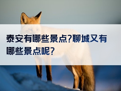 泰安有哪些景点？聊城又有哪些景点呢？