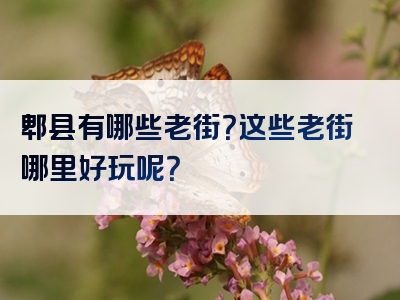 郫县有哪些老街？这些老街哪里好玩呢？