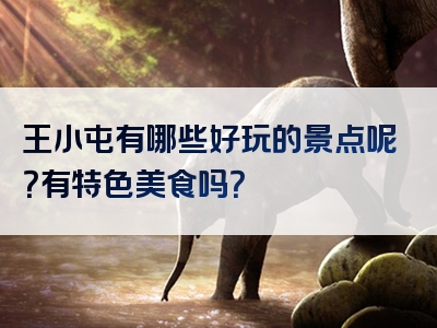 王小屯有哪些好玩的景点呢？有特色美食吗？