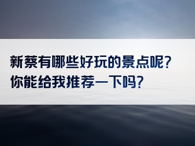新蔡有哪些好玩的景点呢？你能给我推荐一下吗？