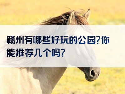 赣州有哪些好玩的公园？你能推荐几个吗？