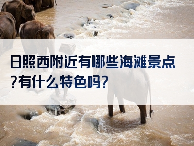 日照西附近有哪些海滩景点？有什么特色吗？