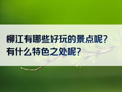柳江有哪些好玩的景点呢？有什么特色之处呢？