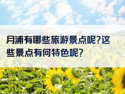 月浦有哪些旅游景点呢？这些景点有何特色呢？